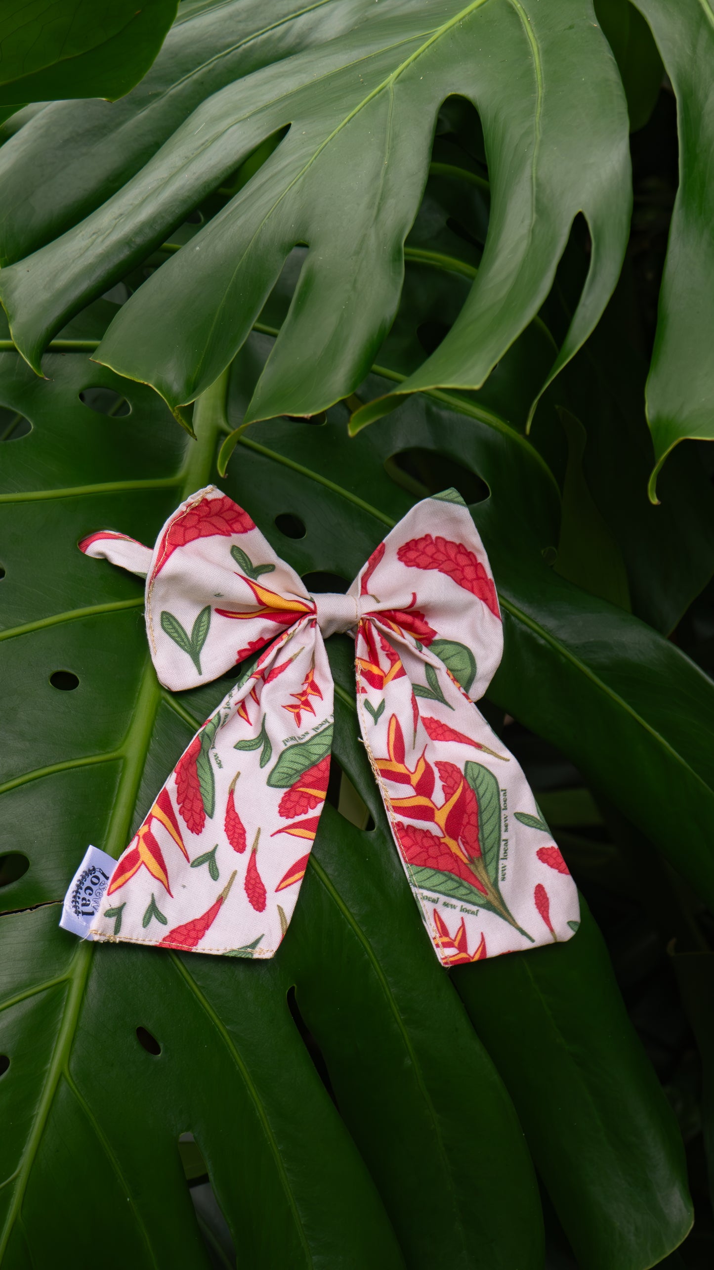 Market- Bird of Paradise & Red Ginger self-tie hair bow